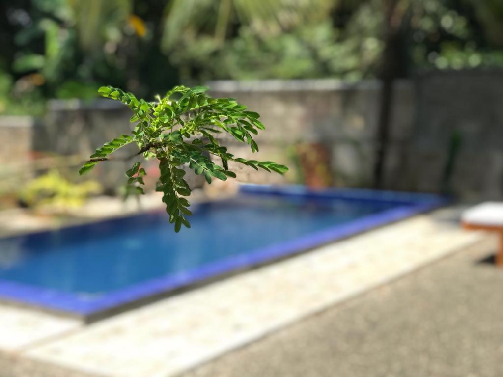 Peaceful Green Villa Unawatuna Esterno foto